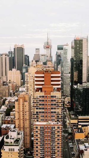 株洲seo截图4