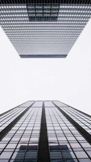 蜘蛛池租赁价格表截图1